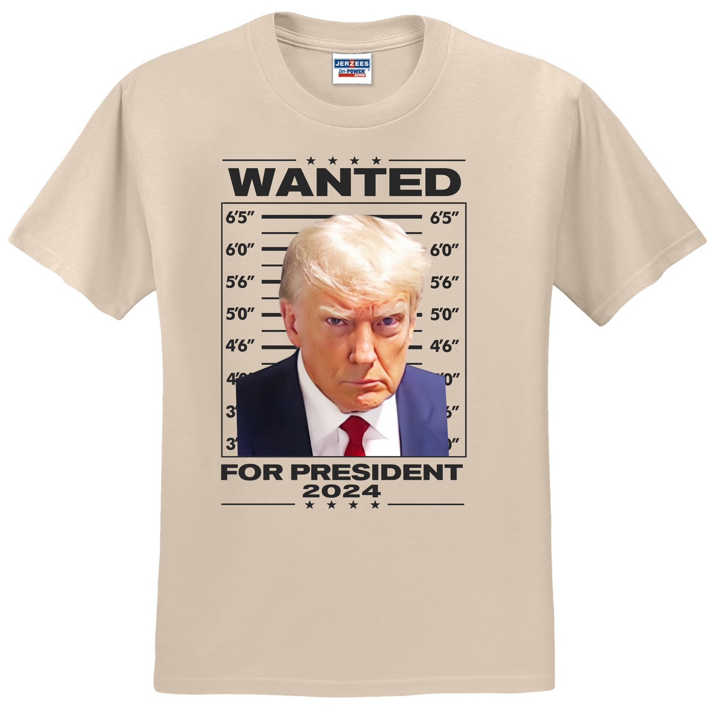 Wanted For President