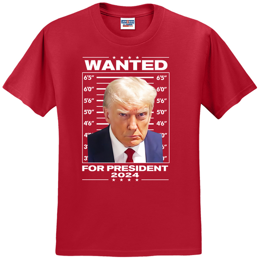 Wanted For President